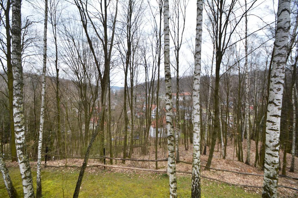 Osrodek Kwaskowa Vila Kazimierz Dolny Exterior foto